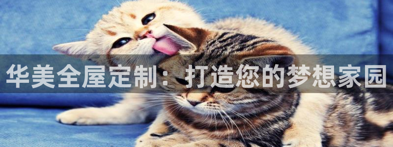 Bb电子琴和弦是哪个