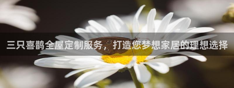 bb电子哪个平台好出款啊