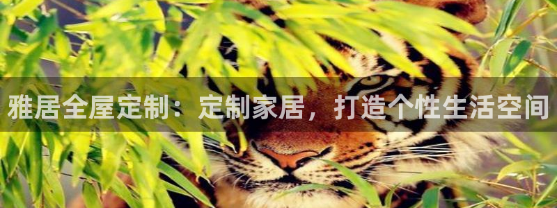bb电子中了Major怎么算