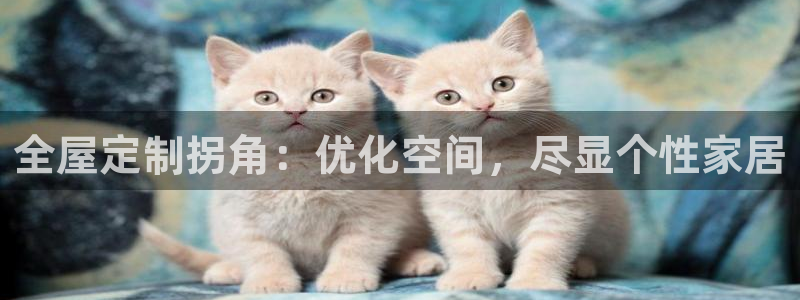 bb电子为什么总赢不了