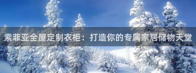 Bb电子琴和弦是哪个