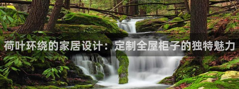 网上bb电子为什么那么假