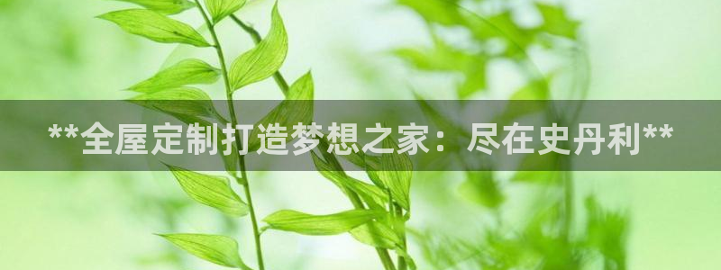 BB电子烟官网