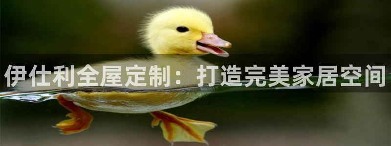 bb电子哪个平台好用点