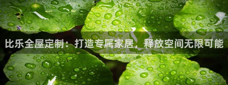 BB电子麻将胡了