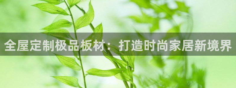 BB电子开户