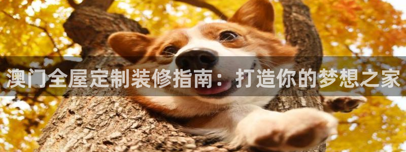 bb电子哪个平台好啊