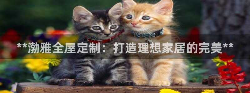 bb电子糖果彩球