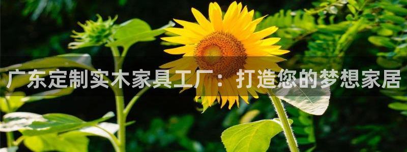 bb电子官网