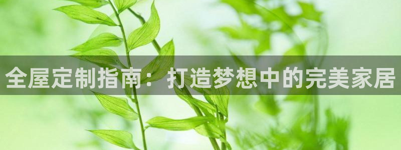 bb电子中了Major怎么算
