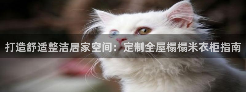 bb电子哪个平台好点
