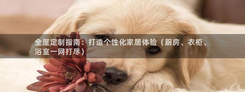 bb电子怎么样