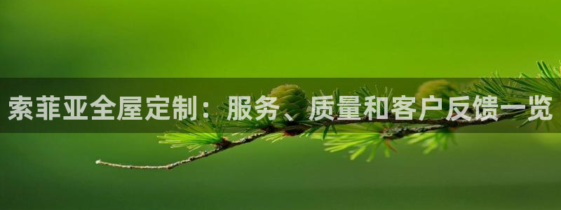 bb电子怎么样