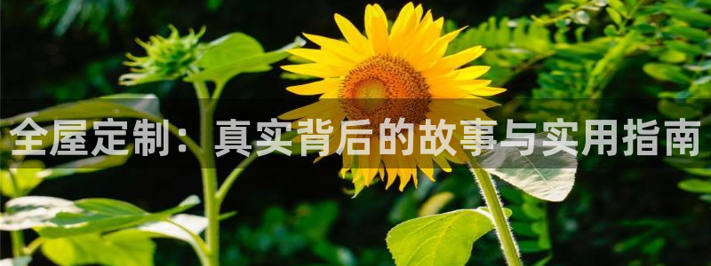 bb电子什么游戏好赢一点