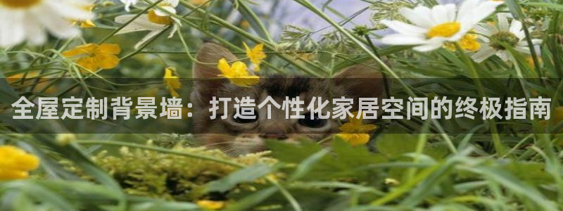 BB电子麻将胡了