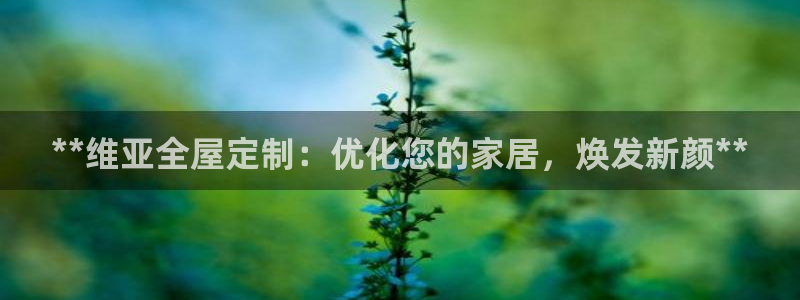 网上bb电子为什么那么假