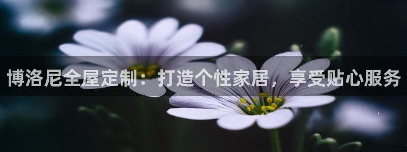 bb电子官网