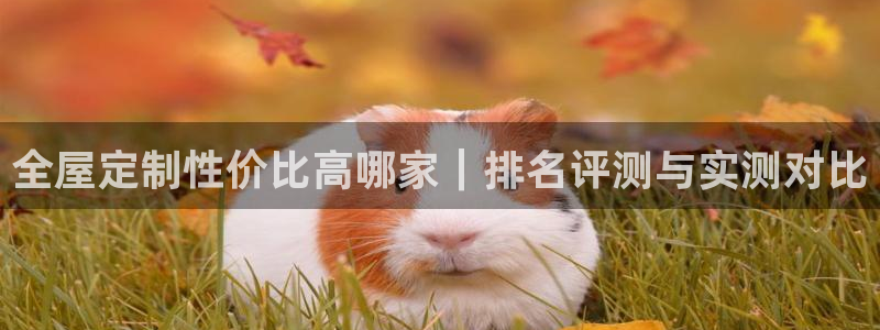 bb电子哪个平台好用
