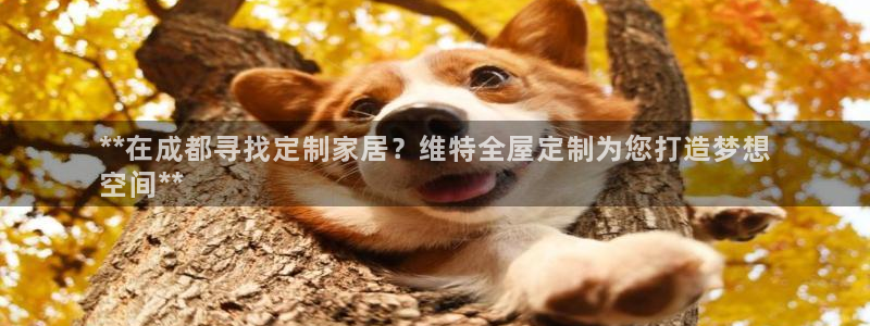xbb电子游艺