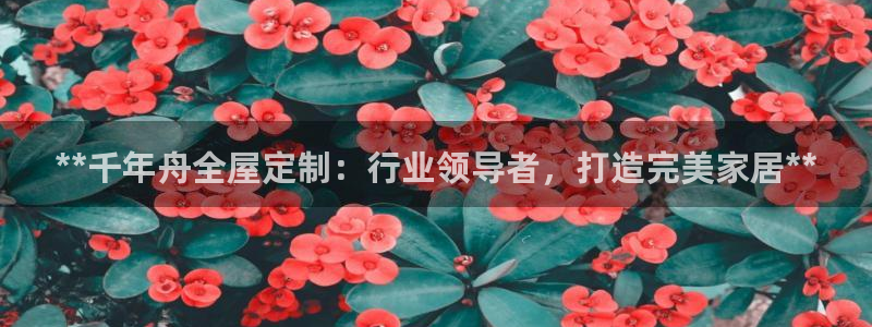 BB电子哪个平台好出款