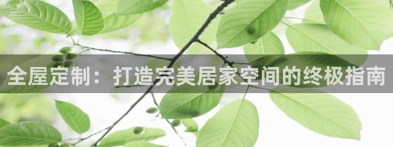 BB电子麻将胡了