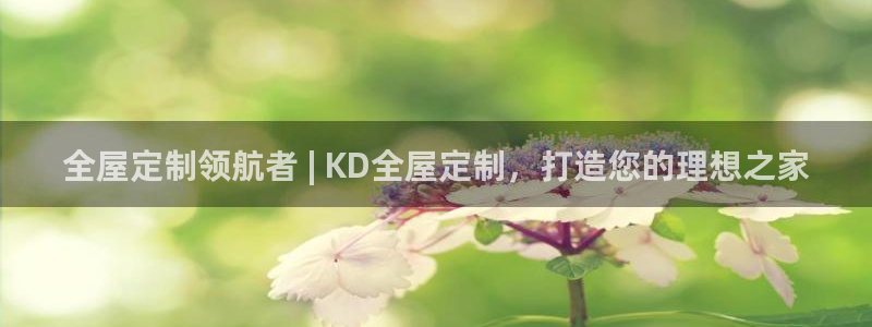 Bb电子琴和弦是哪个