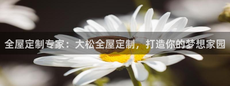 网上bb电子为什么那么假